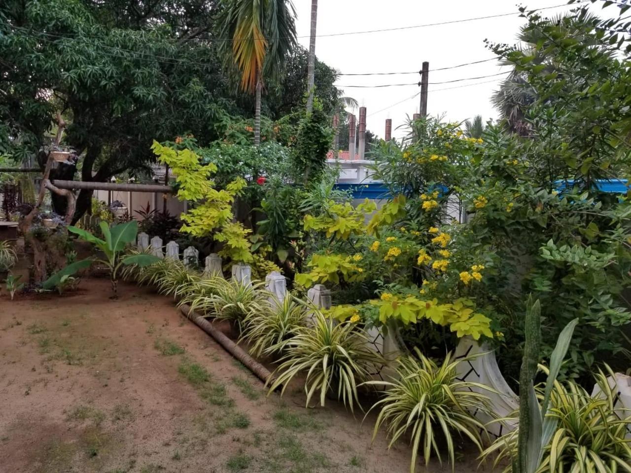 Berty'S Cottage Jaffna Exterior photo